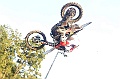 _ROB4034 (Copy)